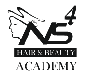Ns4 Academy - Academy Logo